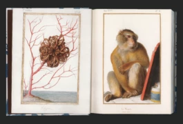 Studio Bonne Feuille