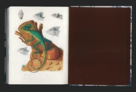 Studio Bonne Feuille