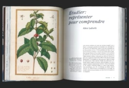 Studio Bonne Feuille