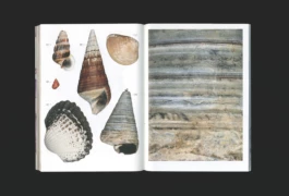 Studio Bonne Feuille