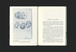 Studio Bonne Feuille