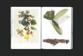 Studio Bonne Feuille