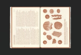 Studio Bonne Feuille